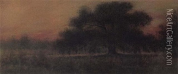 Louisiana Bayou At Dawn Oil Painting - Alexander John Drysdale