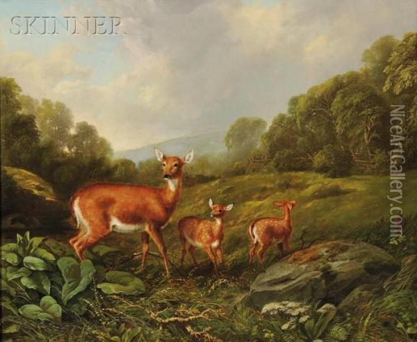 Doe And Fawns In A Landscape Oil Painting - Arthur Fitzwilliam Tait
