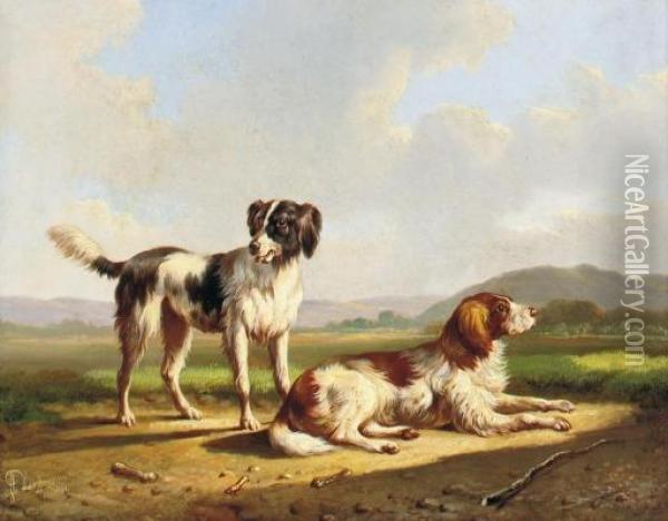 Two Hunting Dogs In A Summer Landscape Oil Painting - Albertus Verhoesen