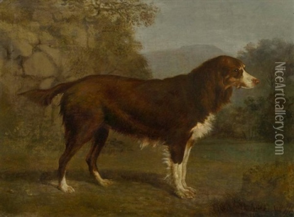 Hundeportrat In Einer Landschaft Oil Painting - Jacques-Laurent Agasse