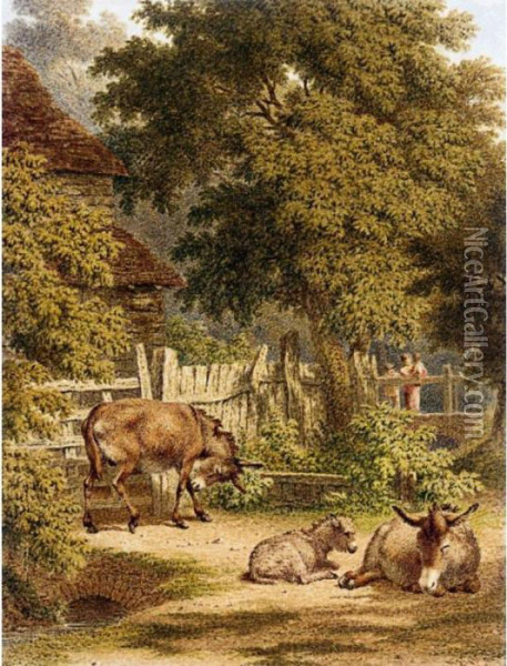 Donkeys In A Farmyard Near Sevenoaks, Kent Oil Painting - Robert Hills