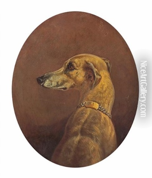 An Italian Greyhound (study) Oil Painting - Rosa Bonheur