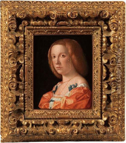 Ritratto Di Giovane Donna Oil Painting - Giovanni De' Busi Cariani