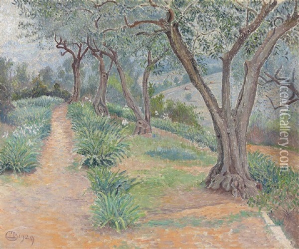 Les Oliviers, Temps Gris, Toulon Oil Painting - Lucien Pissarro