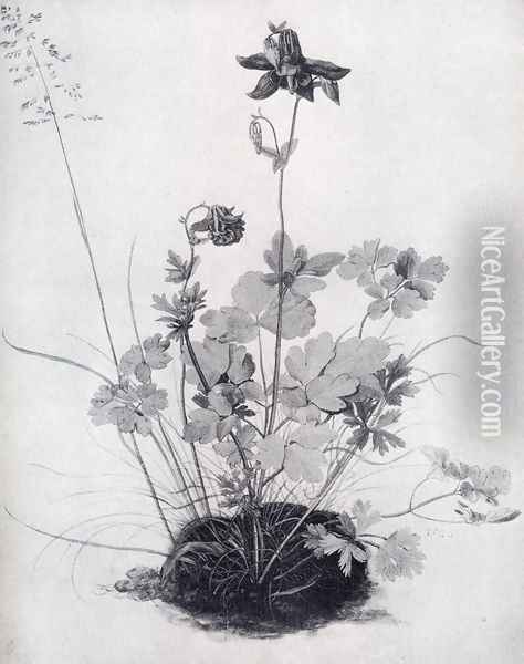 The Piece Of Turf With The Columbine Oil Painting - Albrecht Durer