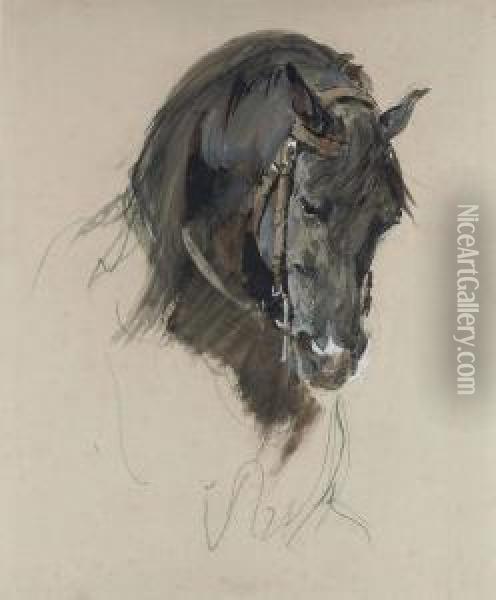 The Head Of A Black Horse Oil Painting - Isidore Alexandre Augustin Pils