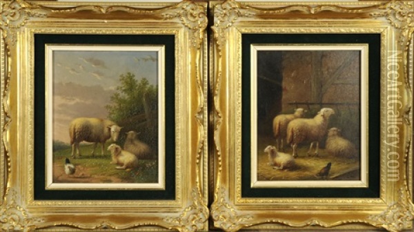 Les Moutons (2 Works) Oil Painting - Auguste Commans