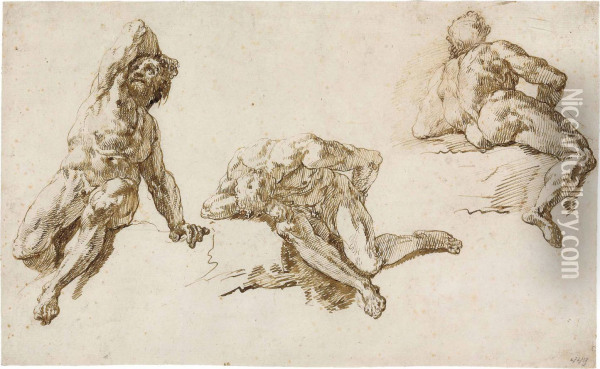 Three Studies Of A Male Nude Oil Painting - Francesco Fontebasso