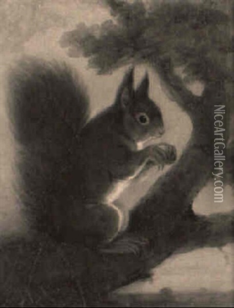A Red Squirrel On A Branch Oil Painting - Henry Bernard Chalon