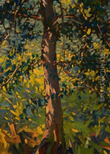 Trees, October 22 Oil Painting - Walter H. Everett