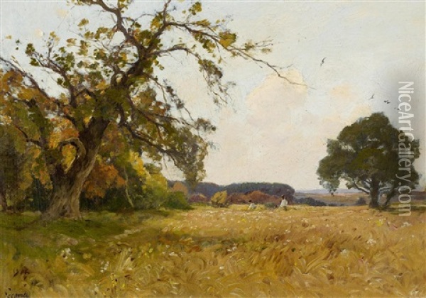 Weite, Sommerliche Feldlandschaft Oil Painting - Paul Lecomte