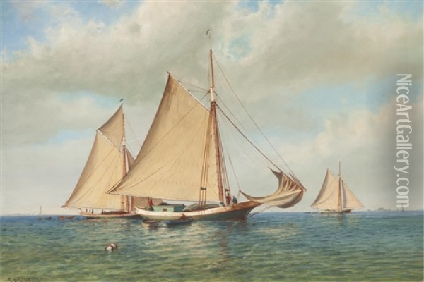 Three Gaff Rigged Sloops In A Bay Oil Painting - Francis Augustus Silva