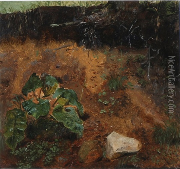Plants Growing On A Hill Oil Painting - Lorenz Frolich