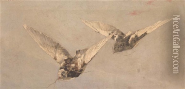 Birds In Flight Oil Painting - William Clusmann