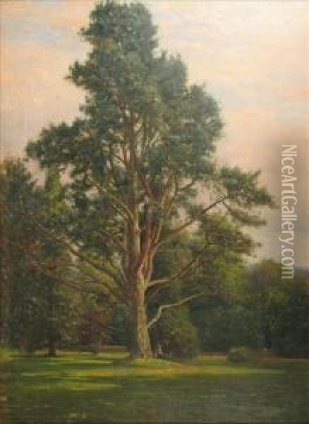 Ladyresting Under A Tree, New Forest Oil Painting - Frederik Golden Short