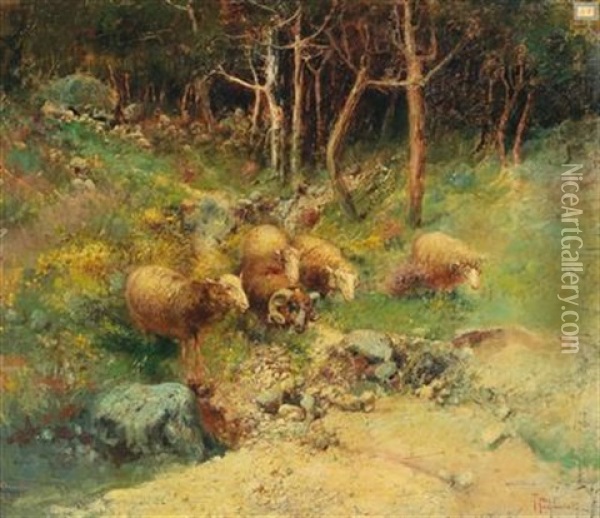 Forest Landscape With Flock Of Sheep Oil Painting - Tito Pellicciotti