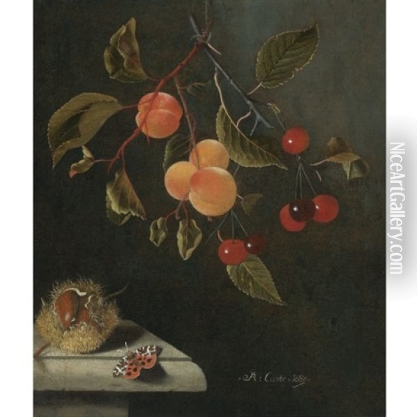 Still Life With A Butterfly, Apricots, Cherries, And A Chestnut Oil Painting - Adriaen Coorte