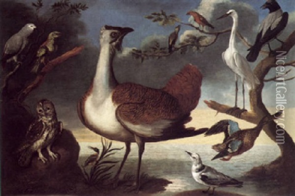 Exotic Fowl On A Bank With A Grey Parrot, Green Woodpecker, Tawney Owl, A Kingfisher, A Great Bustard, A Pair Of Cross Bills, A Kittywake Oil Painting - Francis Barlow