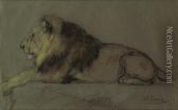 Etude De Lion Couche Oil Painting - Gustave Surand