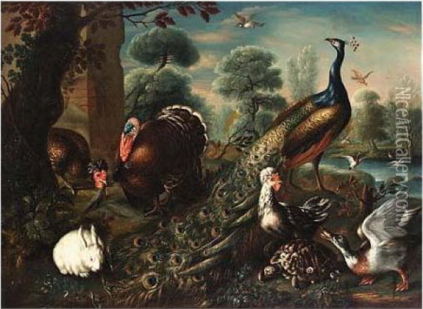 A Peacock, A Turkey, Hens, A 
Duck, A Turtle, A Rabbit And Birds, With Ducks In A Pool In The 
Background, All In A Park Landscape Oil Painting - David de Coninck