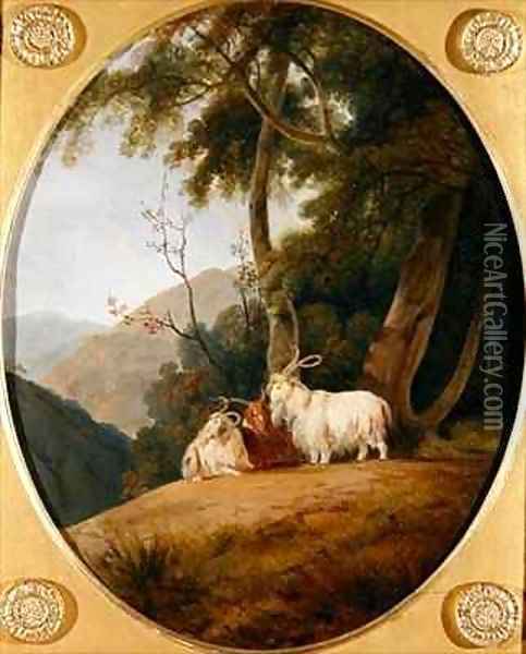 Kashmir Goats Oil Painting - William Daniell RA