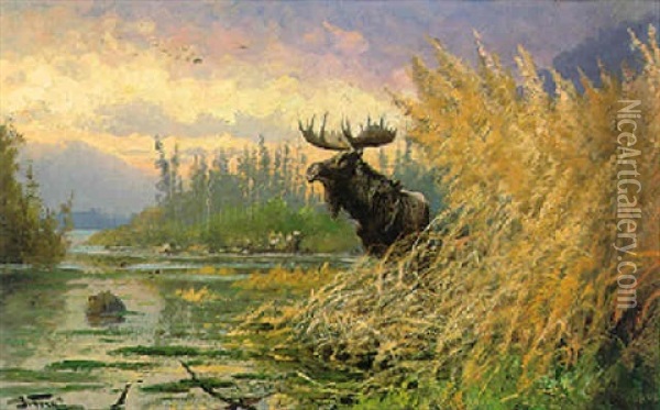 Moose In Landscape Oil Painting - John Fery