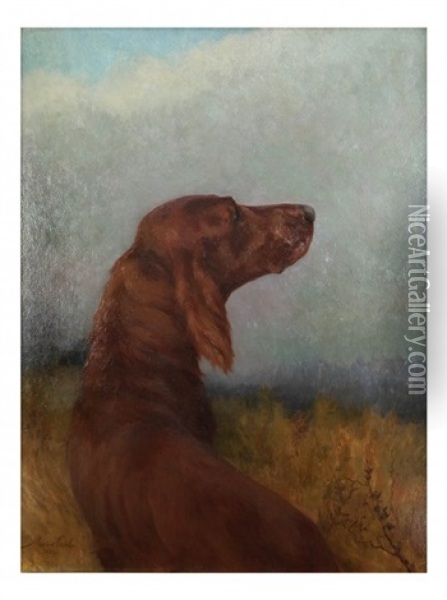 Outdoor Depiction Of An Irish Setter With Head Turned In Half Profile Pose Oil Painting - Maud Earl