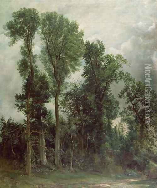 Trees at Hampstead Oil Painting - John Constable