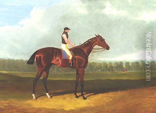 Theodore With Jockey Up Oil Painting - John Frederick Herring Snr