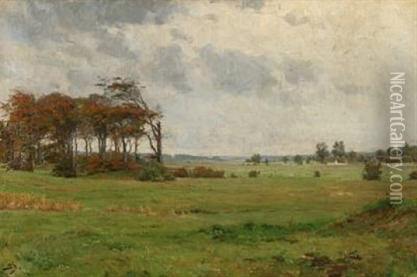 A Landscape On A Windy Day Oil Painting - Carl Martin Soya-Jensen