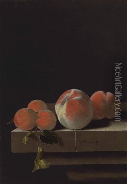Peaches And Apricots On A Stone Ledge Oil Painting - Adriaen Coorte