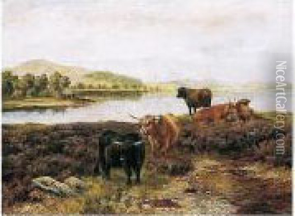 Highland Cattle Resting Oil Painting - Wright Barker