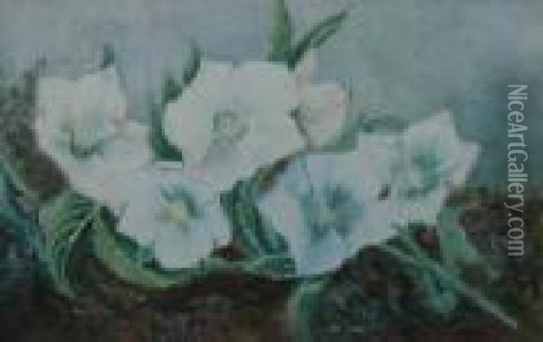 Still Life Of White Flowers Oil Painting - Helen Cordelia Coleman Angell