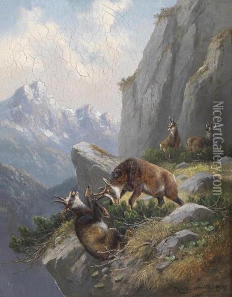Chamois In The High Mountains Oil Painting - Moritz Muller