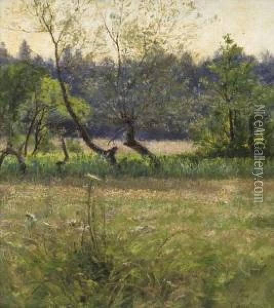 Weiden Auf Der Sommerwiese Oil Painting - Franz Bunke