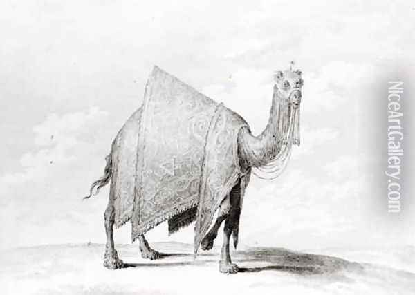 Camel Oil Painting - Alexis-Alexandre Perignon