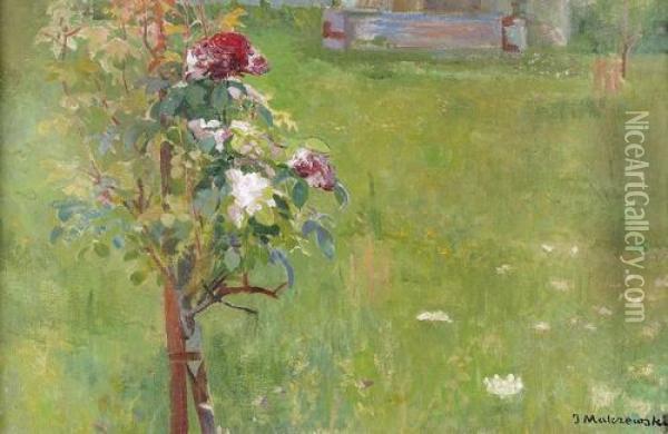 Gartenlandschaft Mit Bluhender Rose. Oil Painting - Jacek Malczewski