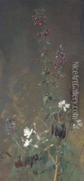 Woundwort Oil Painting - Edwin John Alexander
