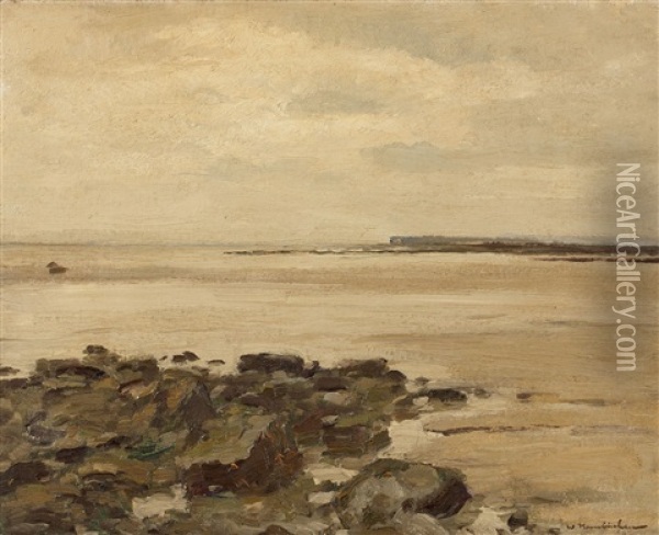Stony Coast Oil Painting - Wilhelm Hambuechen
