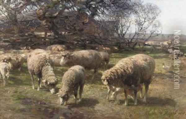 Sonniger Marzmorgen: Sheep Grazing Near A Farm Oil Painting - Heinrich Johann Von Zugel