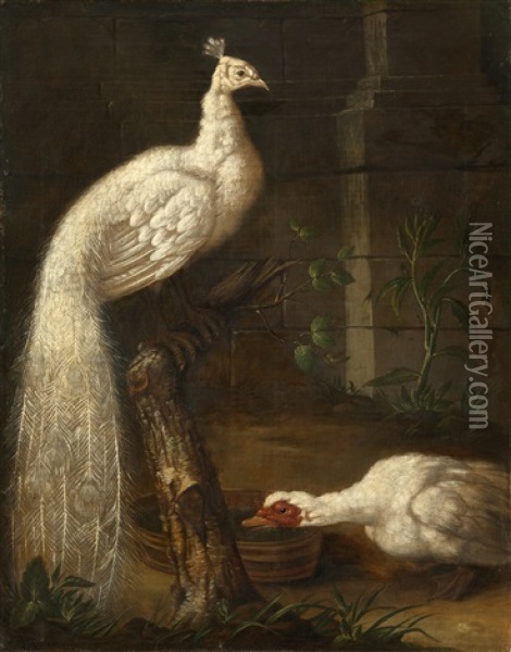 A Goose And A White Peacock Oil Painting - Johann Friedrich Grooth