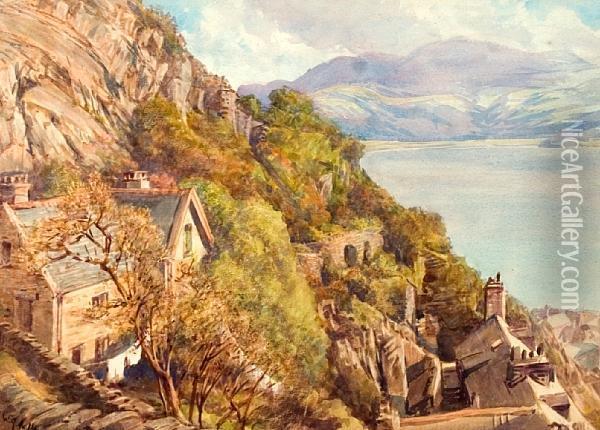 The Rock Gardens Of Barmouth Oil Painting - William Gersham Collingwood