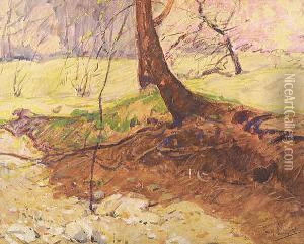Spring Landscape, Pleasant Run Creek In Irvington, Indiana Oil Painting - William Forsyth