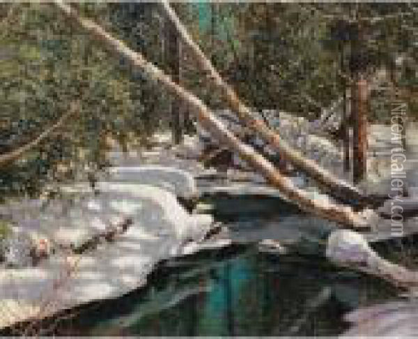 Woodland Silence (the Forest Stream) Oil Painting - Franz Hans Johnston
