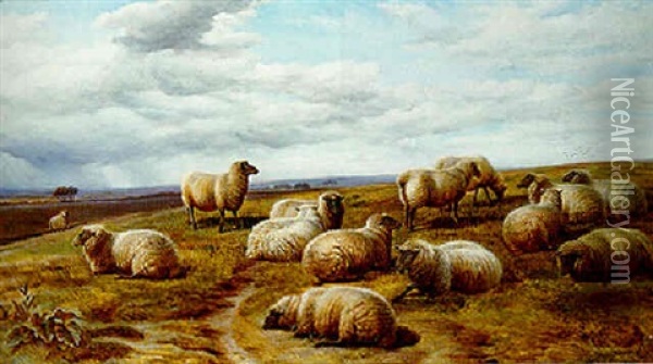 Sheep Resting In A Landscape Oil Painting - Charles Jones