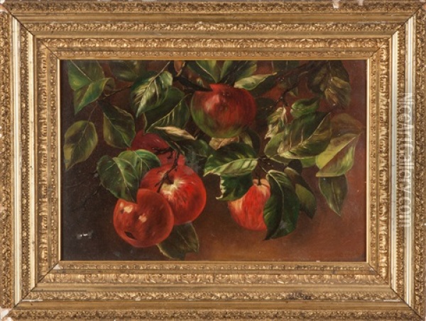 Still Life Of Apples Oil Painting - Harry Herman Roseland