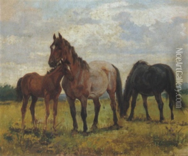 Pferde Auf Der Koppel Oil Painting - Julius von Blaas