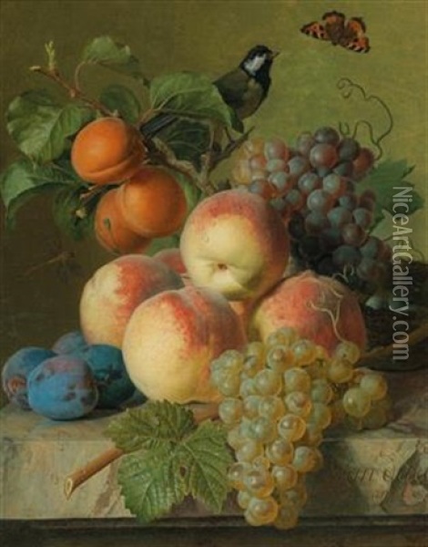Still Life Of Peaches Oil Painting - Jan Frans Van Dael
