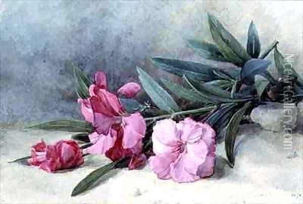 Oleander Blossom Oil Painting - Mary E. Butler