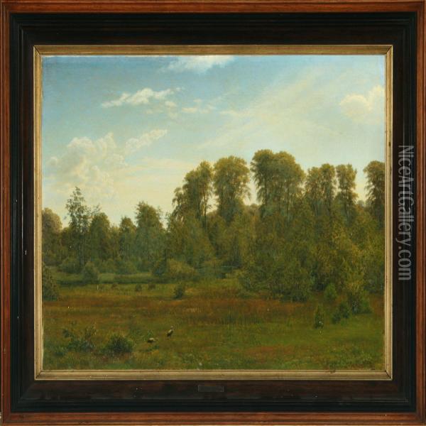 Forest Scenery Withstorks In The Meadow Oil Painting - Gotfred Rump